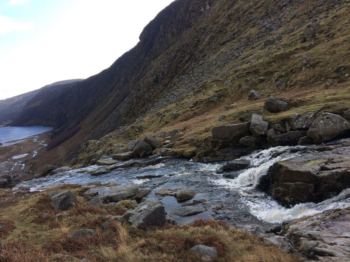 A Guide to: The Sally Gap-STABLE of Ireland