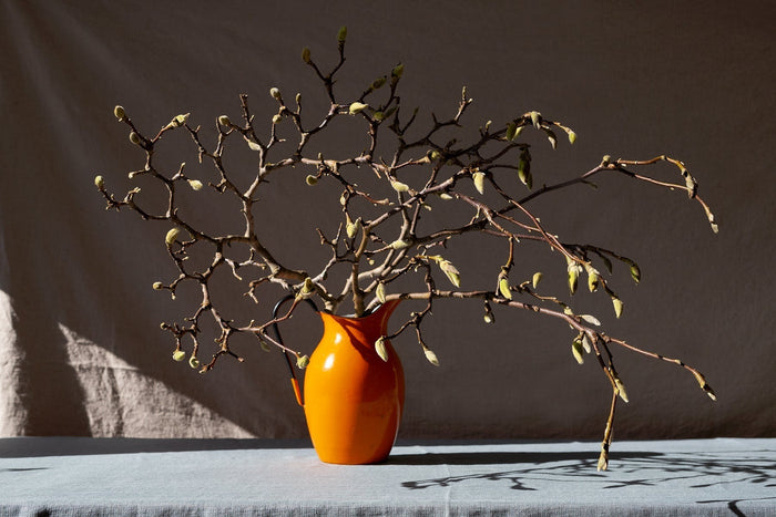 Pickable Edible Arrangeable-STABLE of Ireland