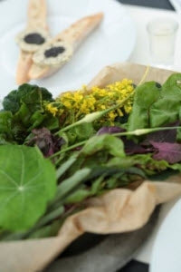 The STABLE Guide to Pickable, Edible Flowers-STABLE of Ireland