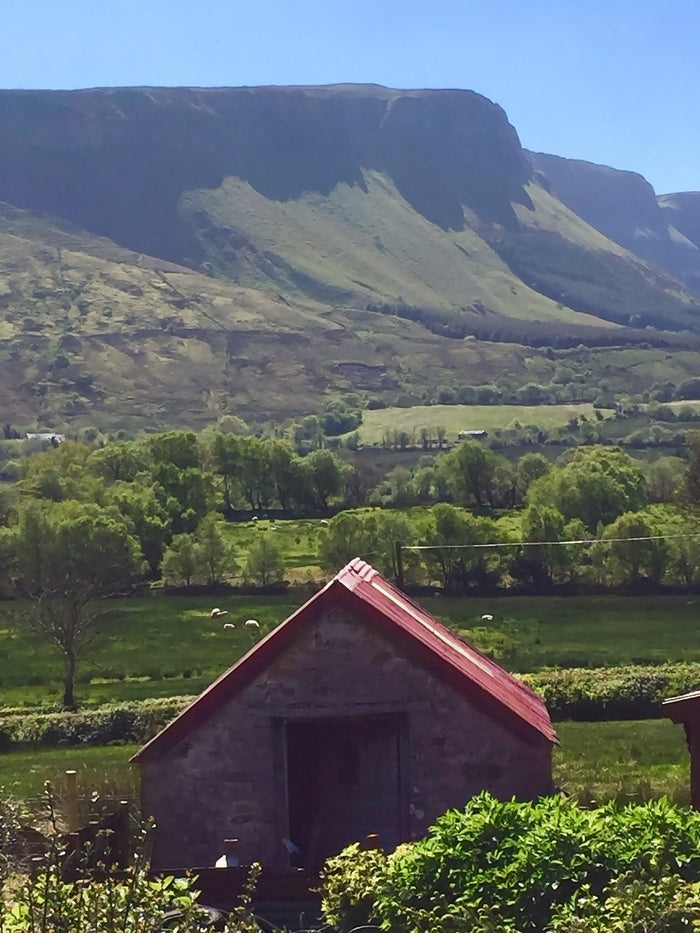 The STABLE Shed Project-STABLE of Ireland