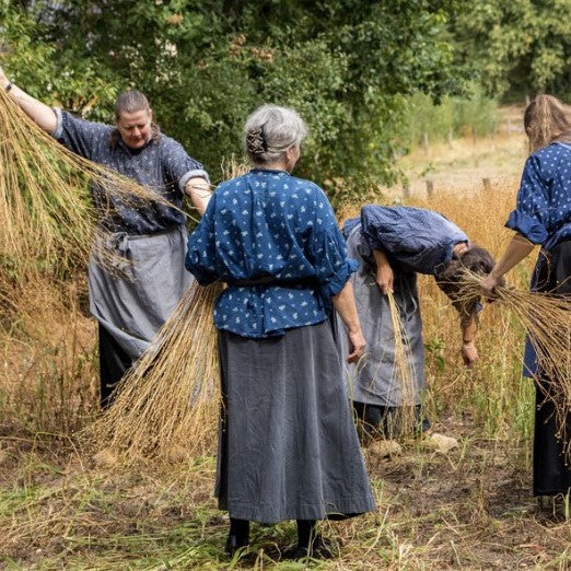 History of Irish Linen