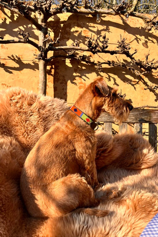 Irish Sheepskin Rugs