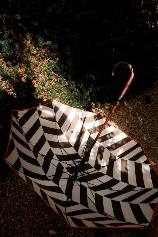 The STABLE Umbrella