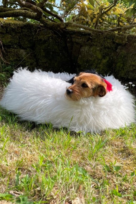 Cream Irish Sheep Wool Dog Bed-Dog Beds-STABLE of Ireland