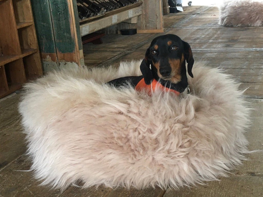 Cream Irish Sheep Wool Dog Bed-Dog Beds-STABLE of Ireland